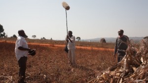 Sinema Ujamaa 2017 Shooting 