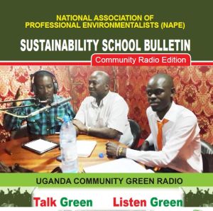 Newsletter: Sustainability School Bulletin