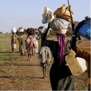 Study: Forced Migration - Climate Change Fueling Conflicts in Kenya