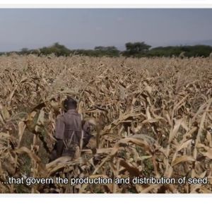 Film: Seeds of Freedom Tanzania