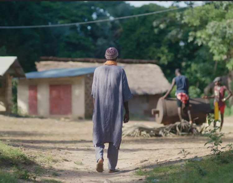 The Last Seed: A Reflection on Food Sovereignty and the Battle for Africa’s Agricultural Future.